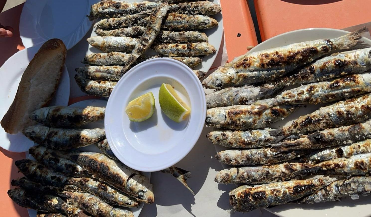 Essaouira Day Trip 5