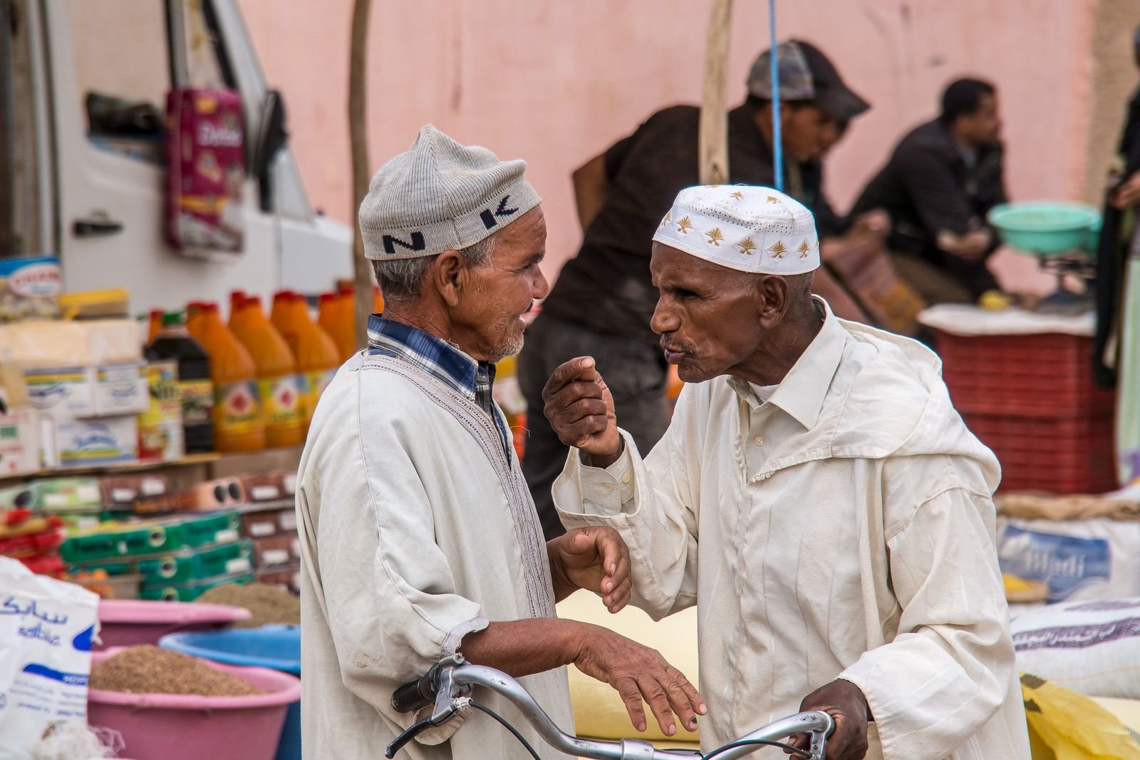 Day Trip to High Atlas Mountains - 4