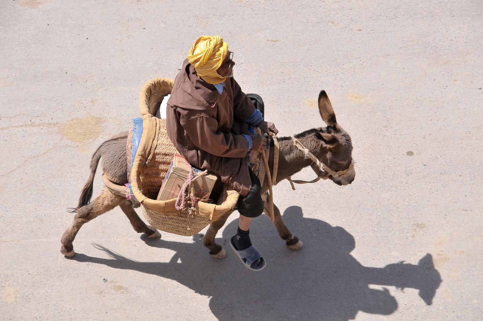 Day Trip to High Atlas Mountains - 6
