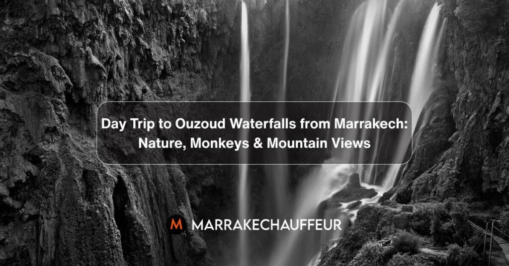 Ouzoud Waterfall Day Trip from Marrakech