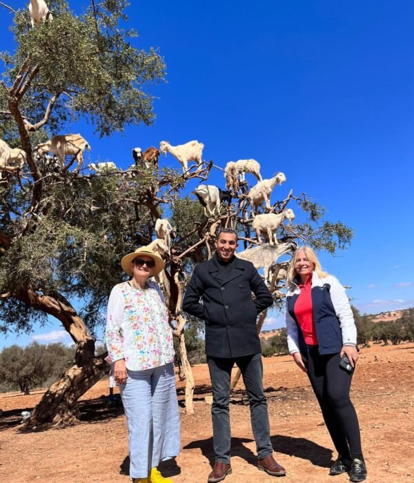 Essaouira Day Trip 9