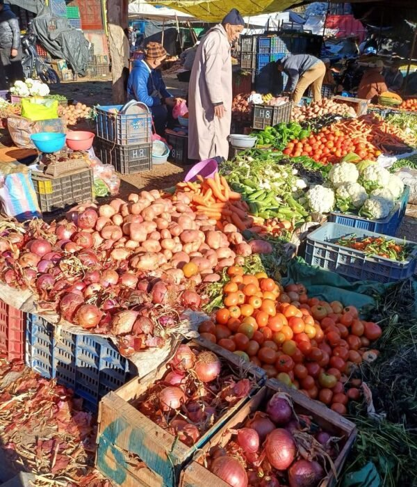 Day Trip to High Atlas Mountains - faq